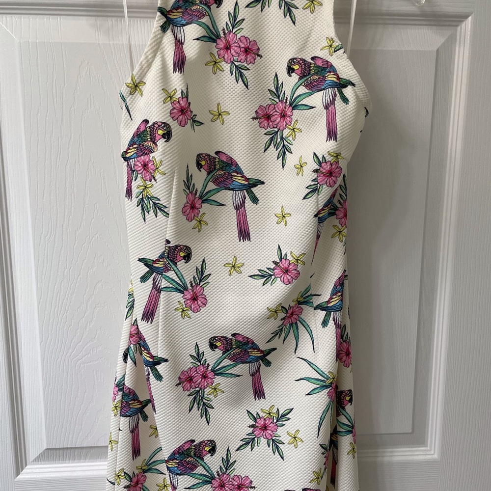 Molly Bracken halter dress with parrots. NWT